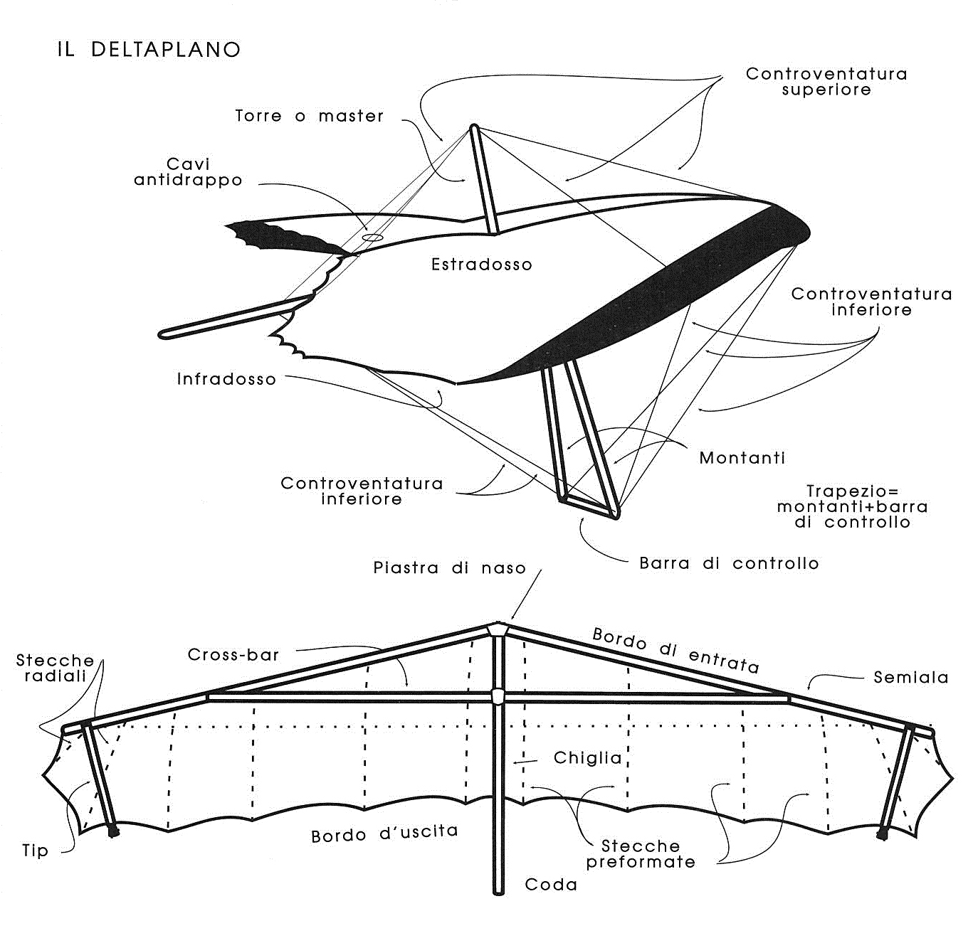 The hang-glider and the correct names of its parts