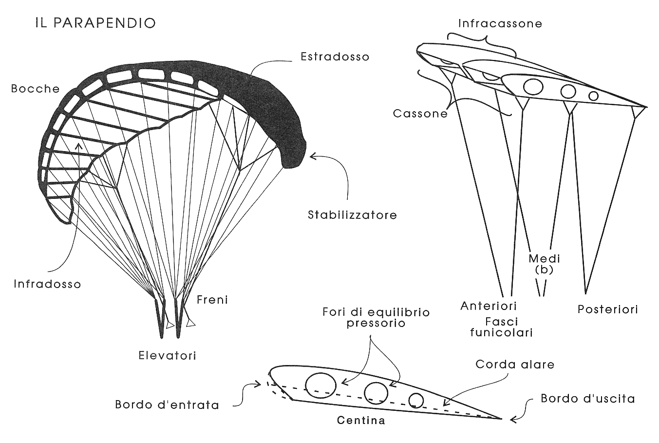 The paraglider components