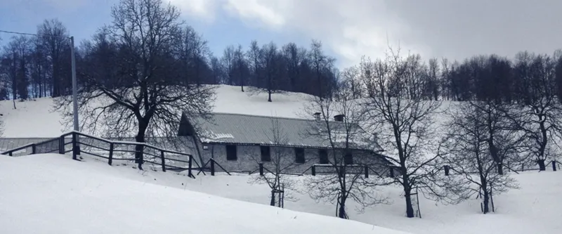 Monte Mulon