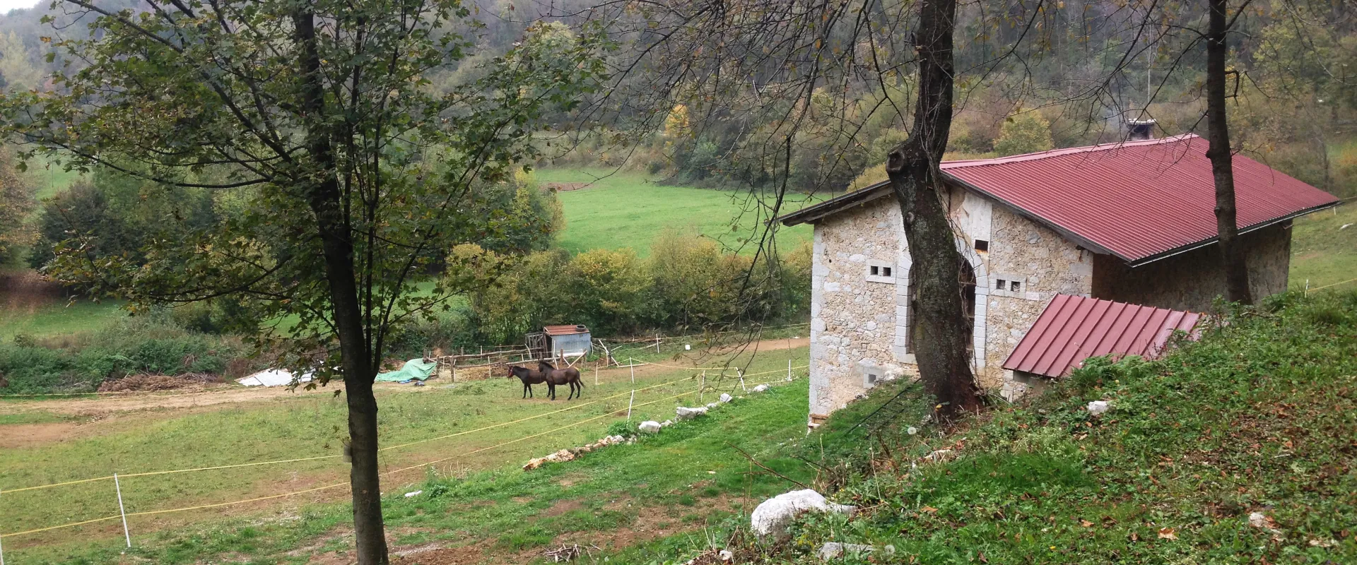 Giro dei Monti Cereis e Chiarandêit