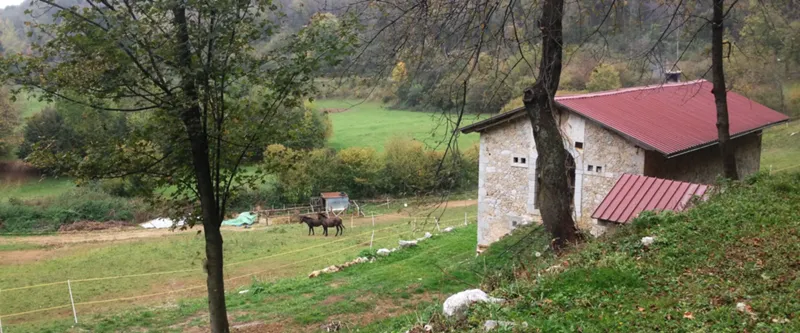 Anello del Monte Cjampuc