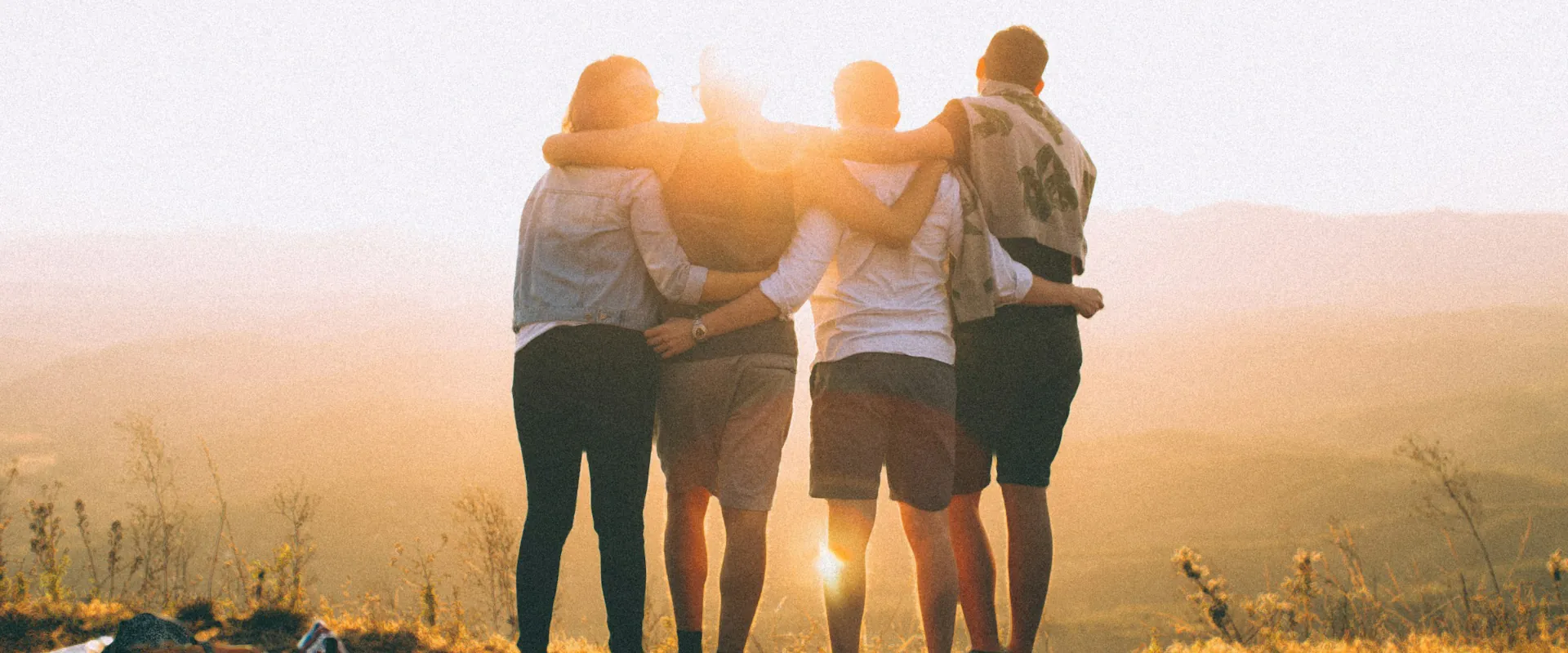 Collaborazioni