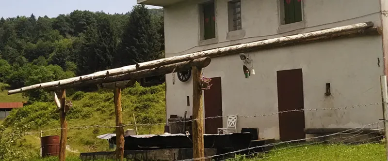 Il bosco di Selvaç
