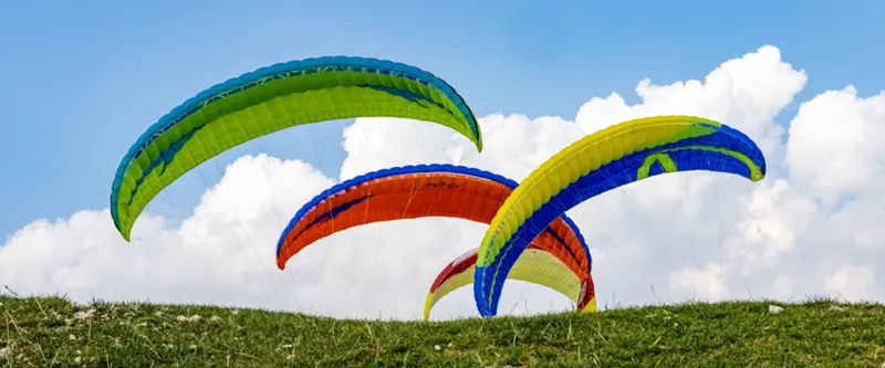 Flight Festival 2024