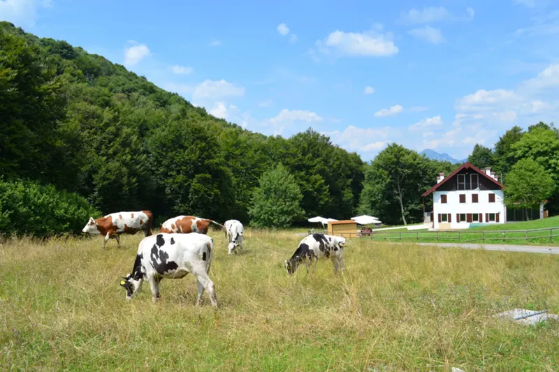 Der Berg Monte Valinis